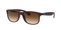 Occhiali da sole Ray-Ban Uomo 0RB4202  55  607313 - 0RB4202  55  607313